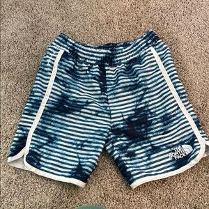 The North Face Blue Striped Bathing Suit Shorts
